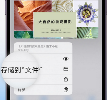 剑阁apple维修中心分享iPhone文件应用中存储和找到下载文件