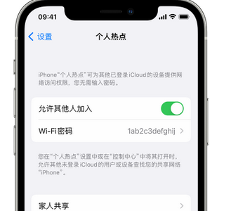 剑阁apple服务站点分享iPhone上个人热点丢失了怎么办 