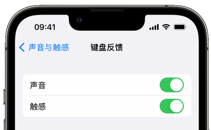 剑阁苹果手机维修分享iPhone 14触感键盘使用方法 