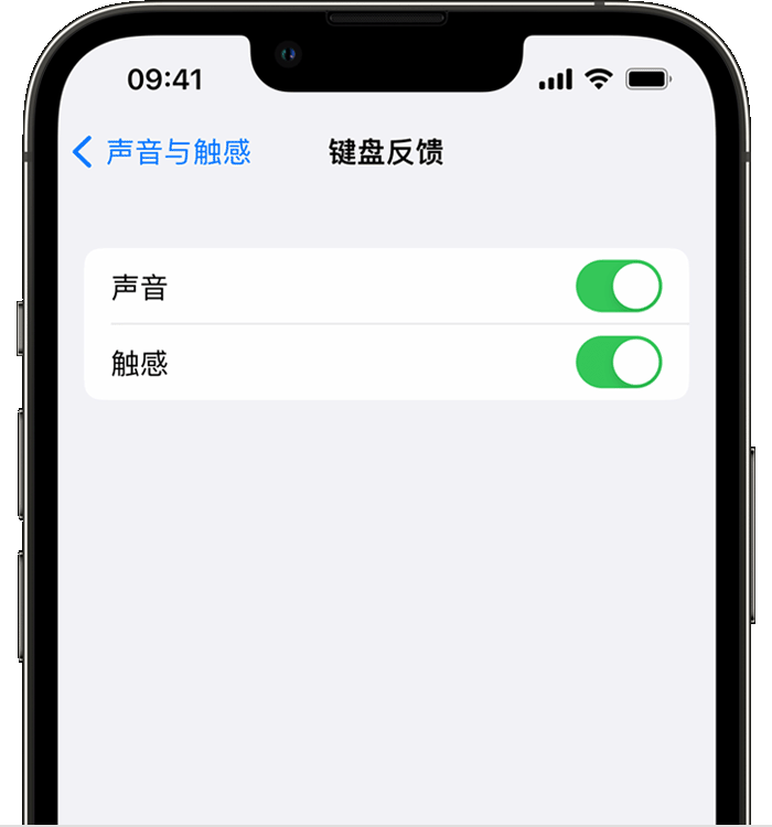 剑阁苹果14维修店分享如何在 iPhone 14 机型中使用触感键盘 