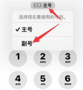 剑阁苹果14维修店分享iPhone 14 Pro Max使用副卡打电话的方法 