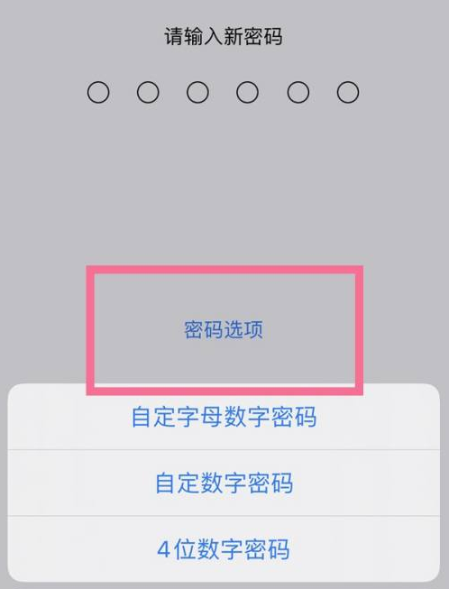 剑阁苹果14维修分享iPhone 14plus设置密码的方法 