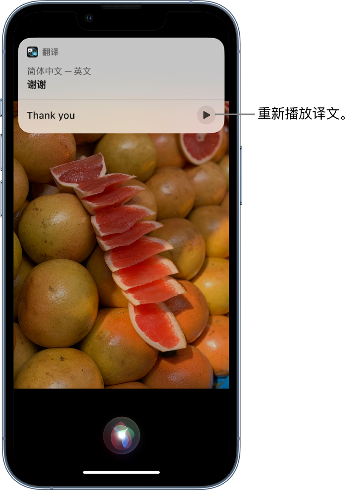 剑阁苹果14维修分享 iPhone 14 机型中使用 Siri：了解 Siri 能帮你做什么 