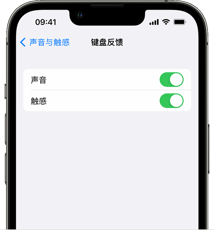 剑阁苹果14维修分享iPhone 14 系列机型如何开启键盘声音或触感反馈 