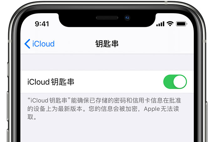 剑阁苹果手机维修分享在 iPhone 上开启 iCloud 钥匙串之后会储存哪些信息 