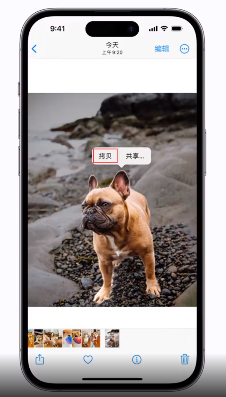 剑阁苹果手机维修分享 iOS 16 自带一键抠图功能 