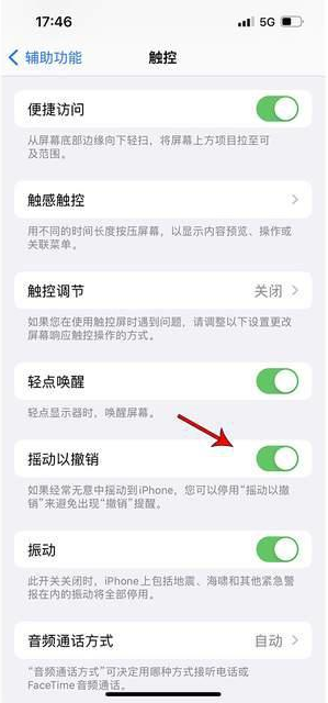 剑阁苹果手机维修分享iPhone手机如何设置摇一摇删除文字 