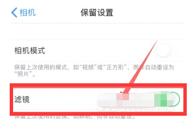 剑阁苹果13维修分享iPhone13拍照有绿点是怎么回事 